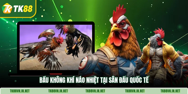 Bầu không khí náo nhiệt tại sân đấu quốc tế