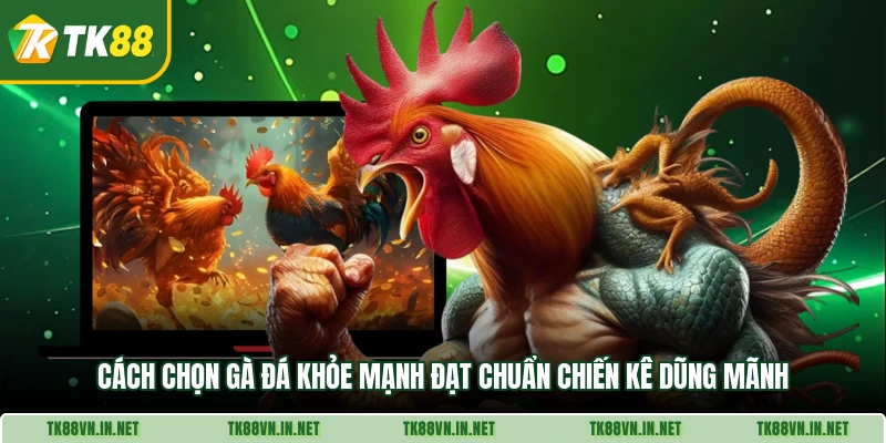Cách Chọn Gà Đá Khỏe Mạnh Đạt Chuẩn Chiến Kê Dũng Mãnh