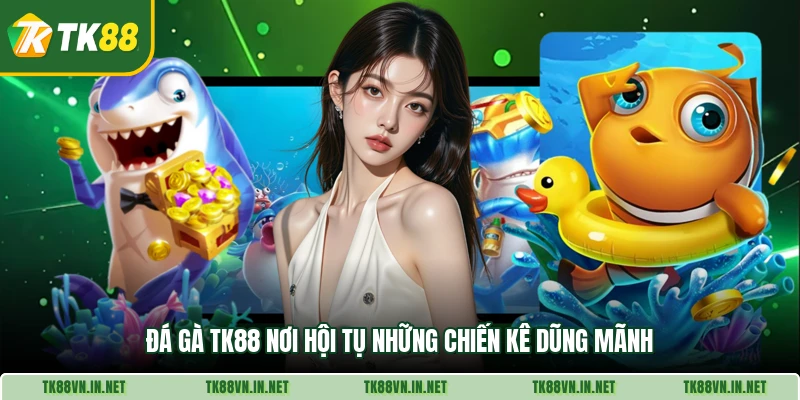 Đá gà TK88 nơi hội tụ những chiến kê dũng mãnh