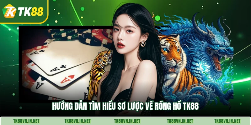 Hướng dẫn tìm hiểu sơ lược về Rồng Hổ TK88