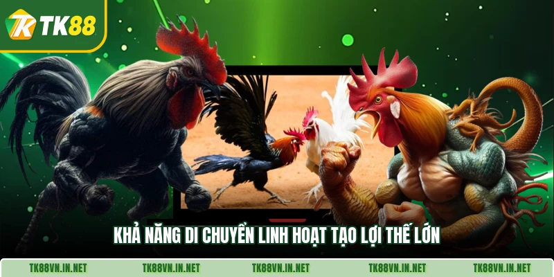 Khả năng di chuyển linh hoạt tạo lợi thế lớn
