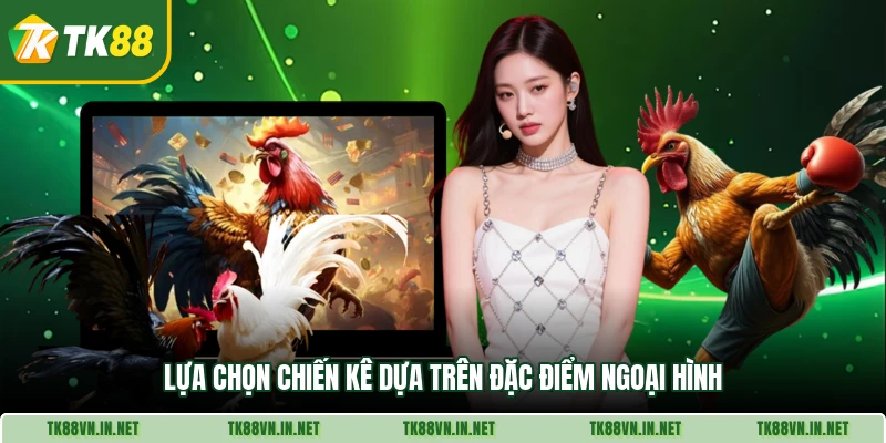 Lựa chọn chiến kê dựa trên đặc điểm ngoại hình