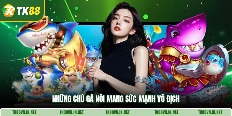 Những chú gà nòi mang sức mạnh vô địch