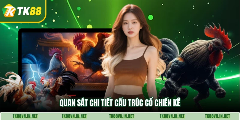 Quan sát chi tiết cấu trúc cổ chiến kê