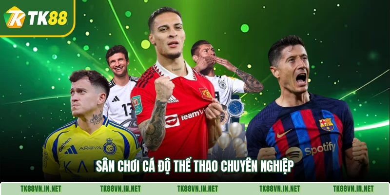 Sân chơi cá độ thể thao chuyên nghiệp