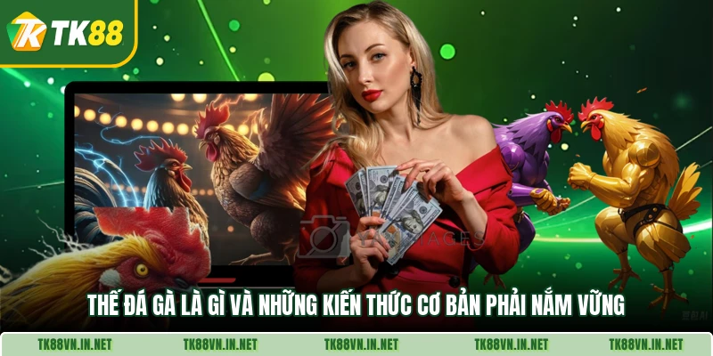 Thế Đá Gà Là Gì Và Những Kiến Thức Cơ Bản Phải Nắm Vững