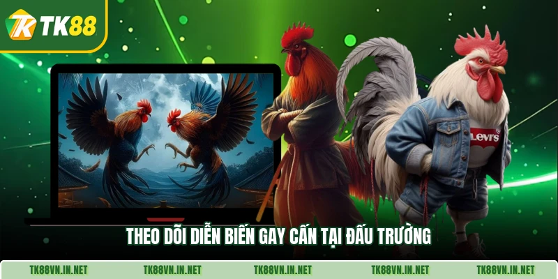 Theo dõi diễn biến gay cấn tại đấu trường