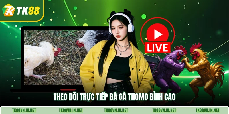 Theo dõi trực tiếp đá gà Thomo đỉnh cao